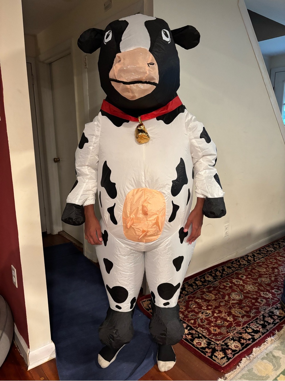 Spirit Inflatable Cow Costume in White, Black, Red, Tan